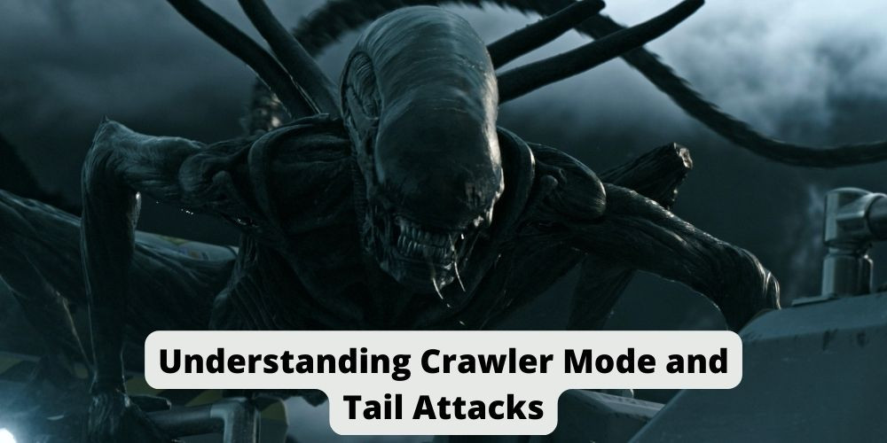 Understanding Crawler Mode and Tail Attacks